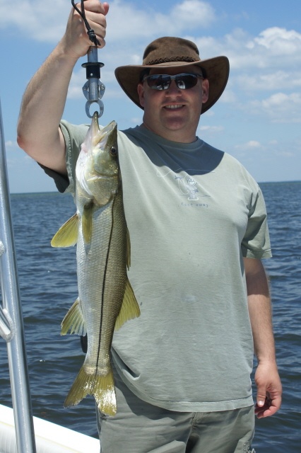 Tampa Bay snook