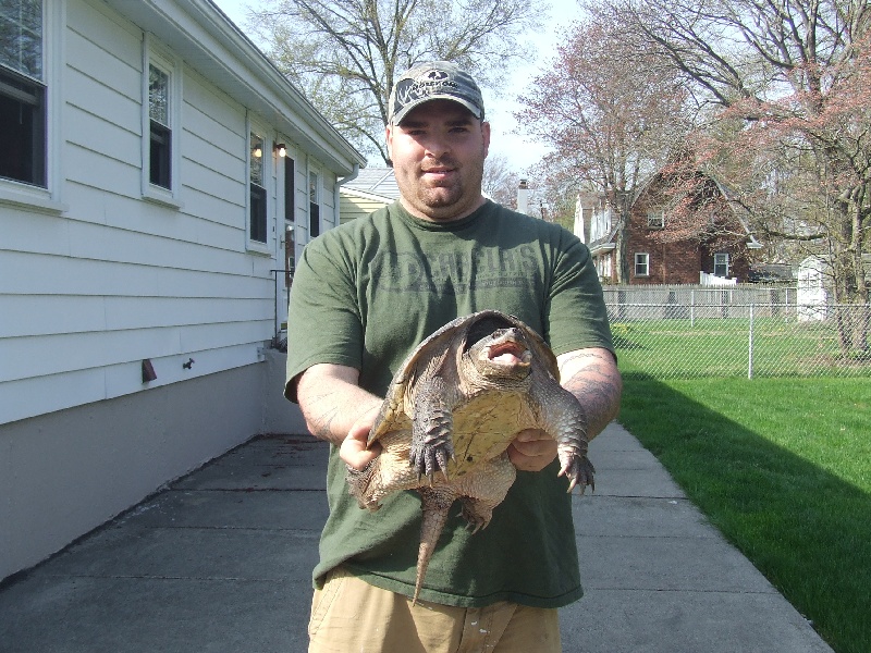 Clarks Pond Monster Snapper !!!