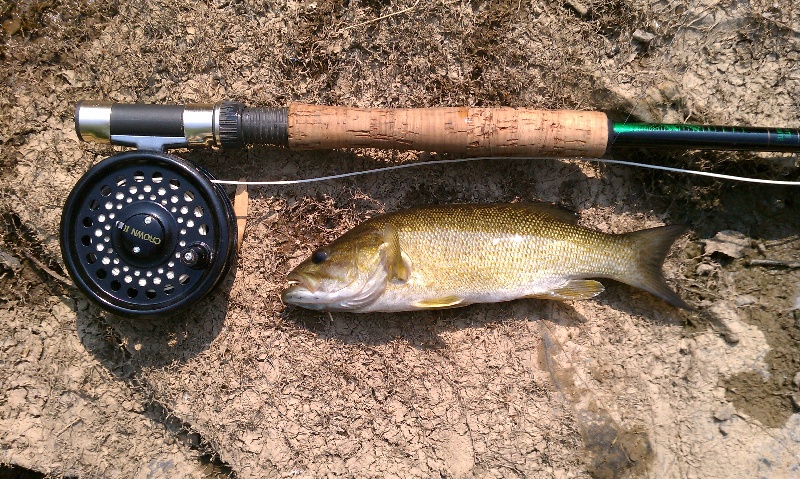 1st Smallmouth near Poolesville