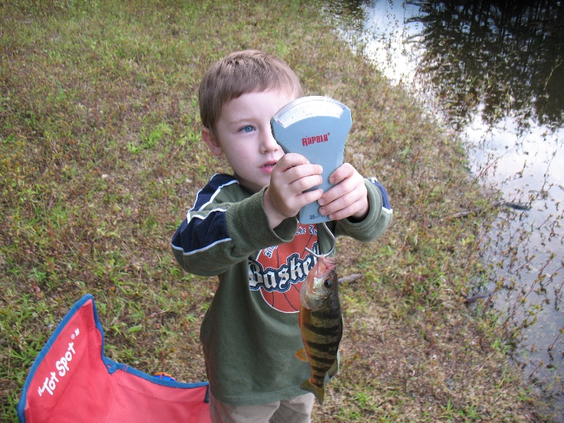 Perch near Taneytown