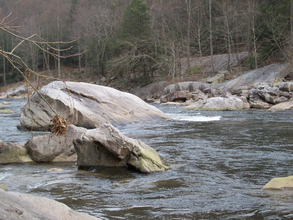 Cheat River near Friendsville