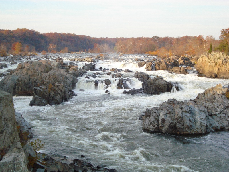 North Chevy Chase fishing photo 4