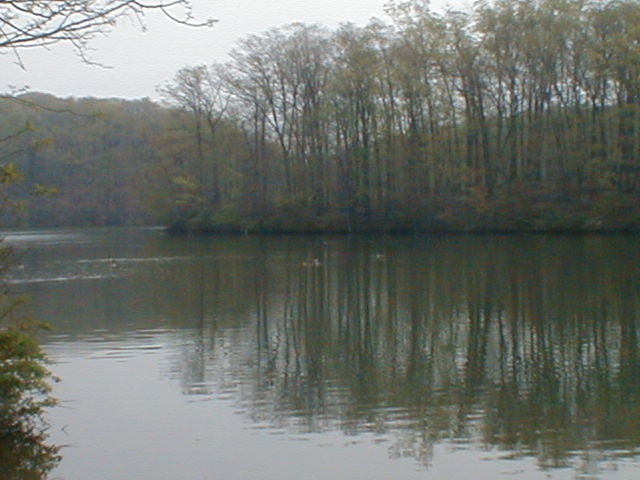 Muddy Run near Rising Sun