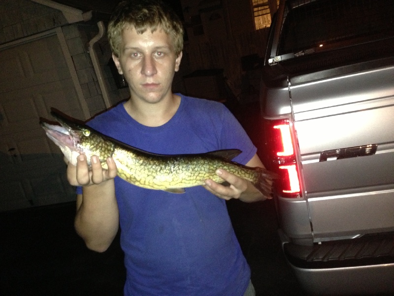 23 inch chain pickerel 