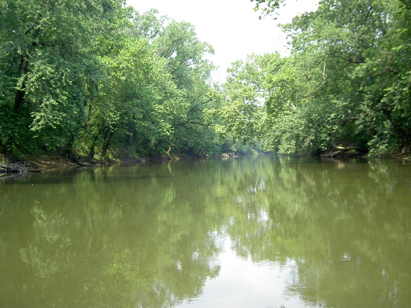 Ballenger Creek fishing photo 5