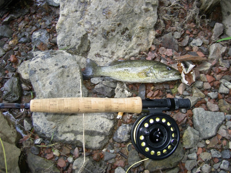 Clarksburg fishing photo 5