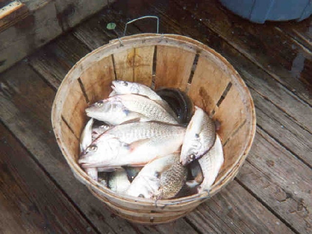 Smith Island fishing photo 0