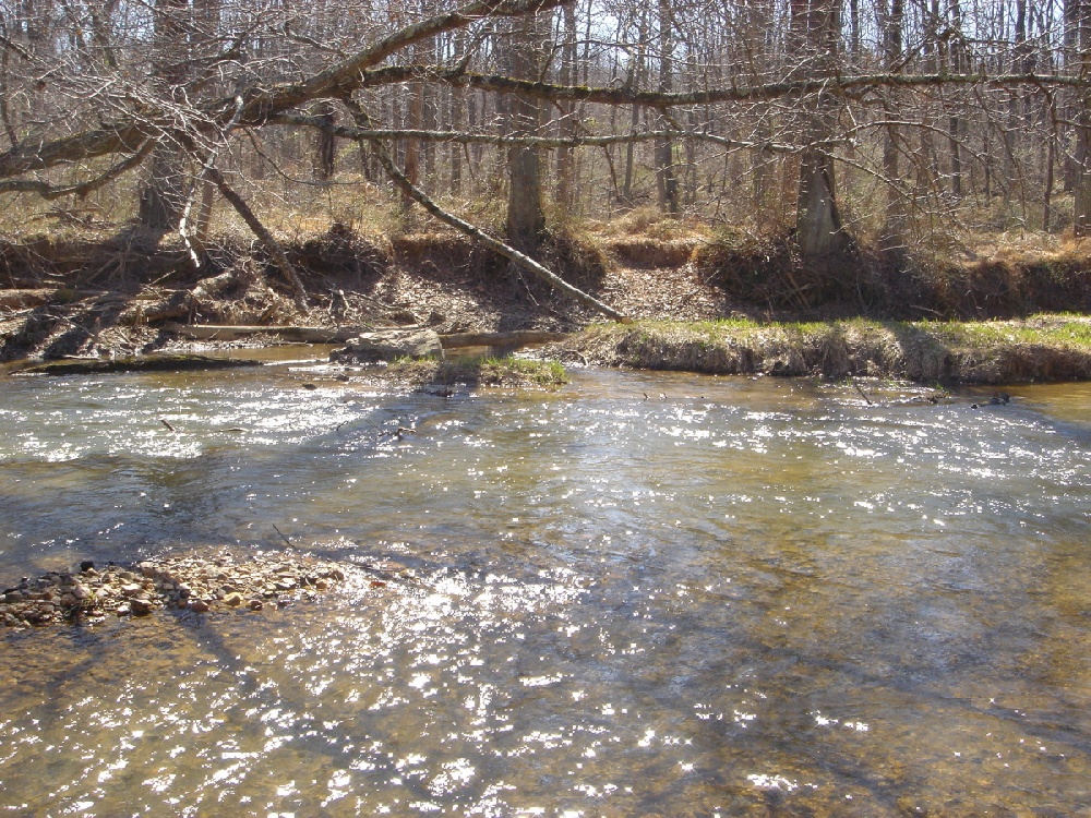 Union Bridge fishing photo 4