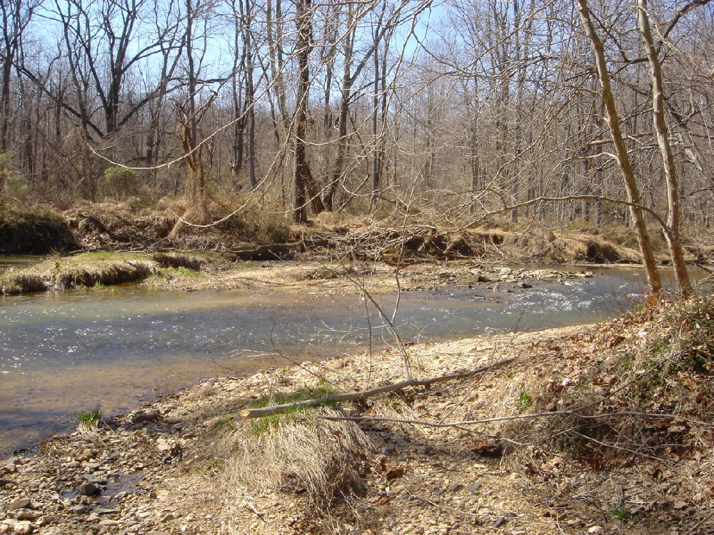 Gaithersburg fishing photo 0