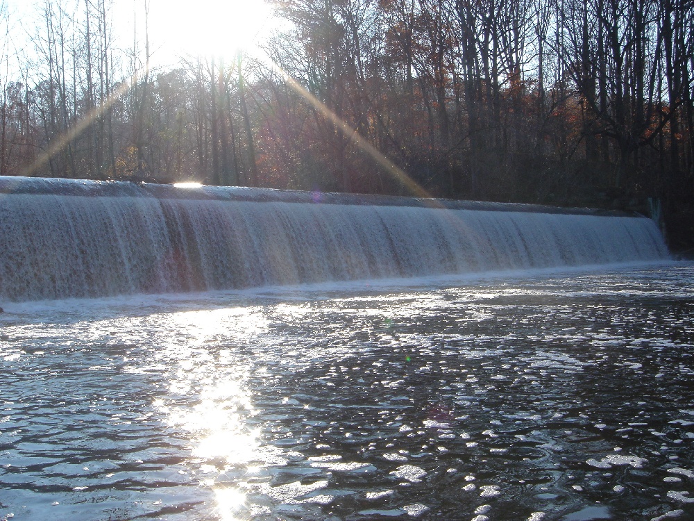 Brooklyn Park fishing photo 5