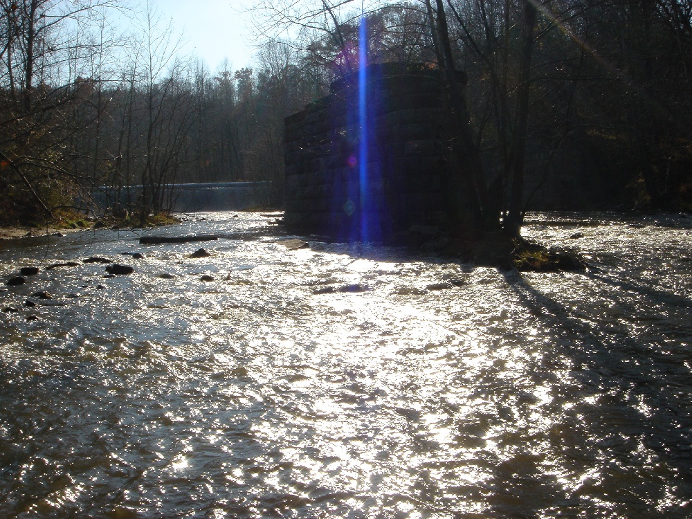 Arden-on-the-Severn fishing photo 5