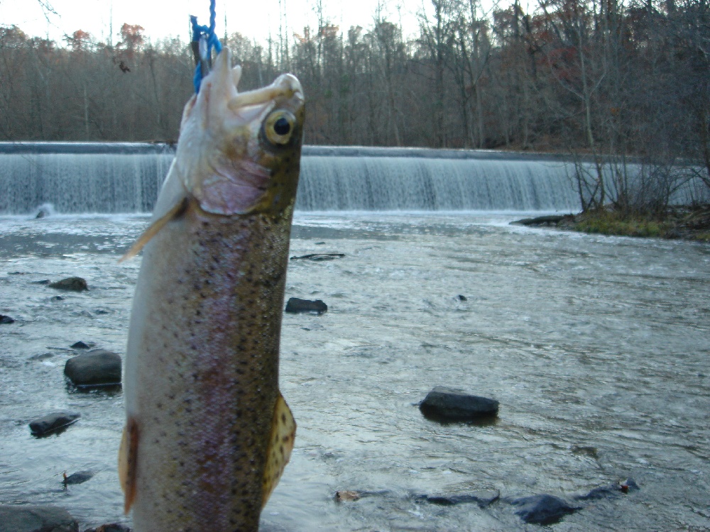 Linthicum fishing photo 3