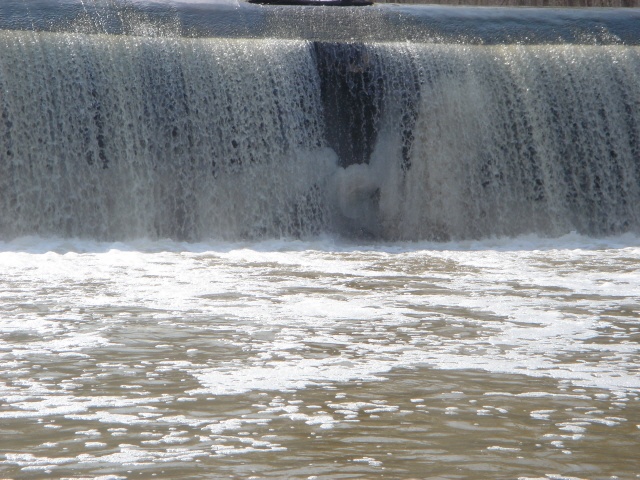 Lake Shore fishing photo 3