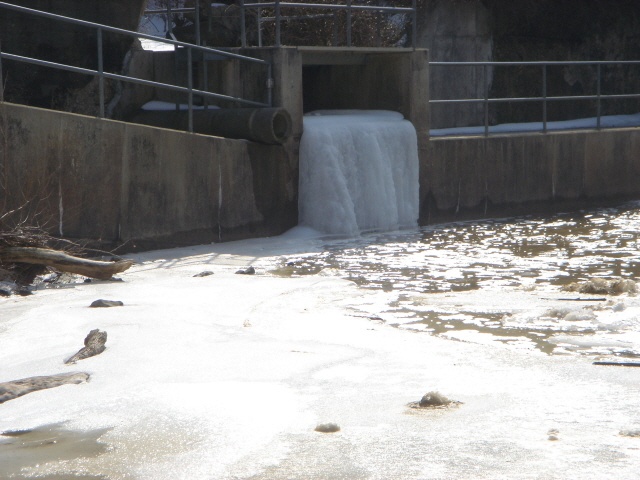 Maryland City fishing photo 1