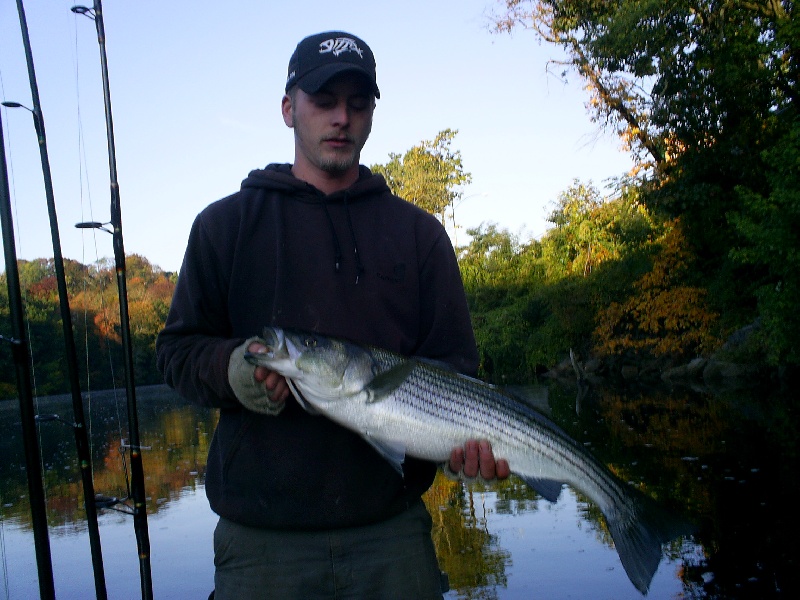 Fall Bass