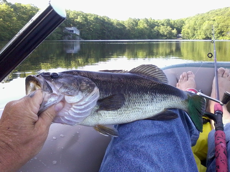 groton long pond